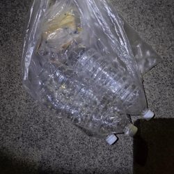 清掃活動：秋口の夜釣り