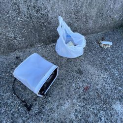 清掃活動：アジしか勝たん