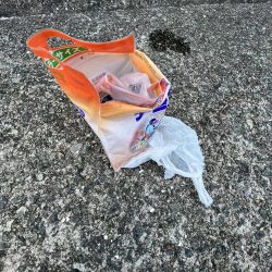 清掃活動：渋い日