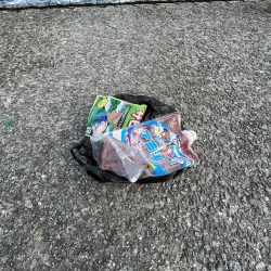 清掃活動：アジしか勝たん③