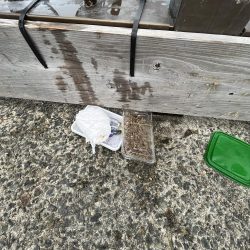 清掃活動：五目釣り