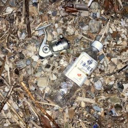 清掃活動：小さめ真鯛