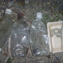 清掃活動：9月の淡水魚