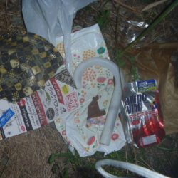 清掃活動：9月バス