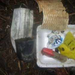 清掃活動：夕涼みバス