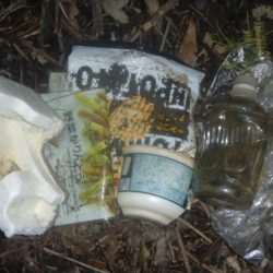 清掃活動：秋の淡水魚