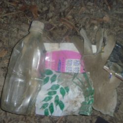 清掃活動：シャッドでバス釣り