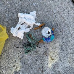 清掃活動：アジ後、カマス祭り