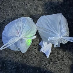 清掃活動：太刀魚釣り、キス釣り