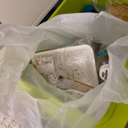 清掃活動：イカメタル終盤か