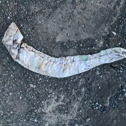 清掃活動：まさかの！