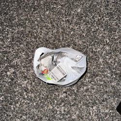 清掃活動：タチウオ釣り