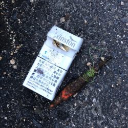 清掃活動：ナイトエギング