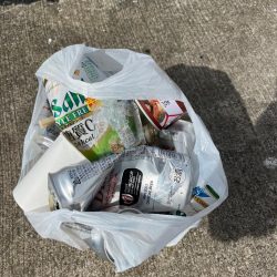 清掃活動：満潮まえの上潮で爆釣！