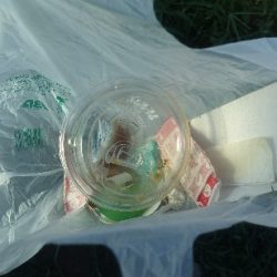 清掃活動：猛暑日のなぶら