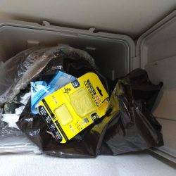 清掃活動：ティップラン開幕！！