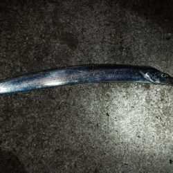 深日港に行ったけど!ダメそうやったので和歌山方面へ