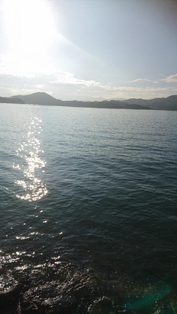 今日もエギング