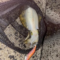 雨は意外と好き！