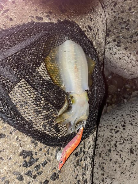 雨は意外と好き！