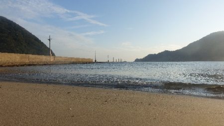 月の輝きと青箭魚