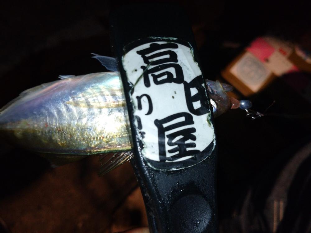 雨上がり爆風アジング修行