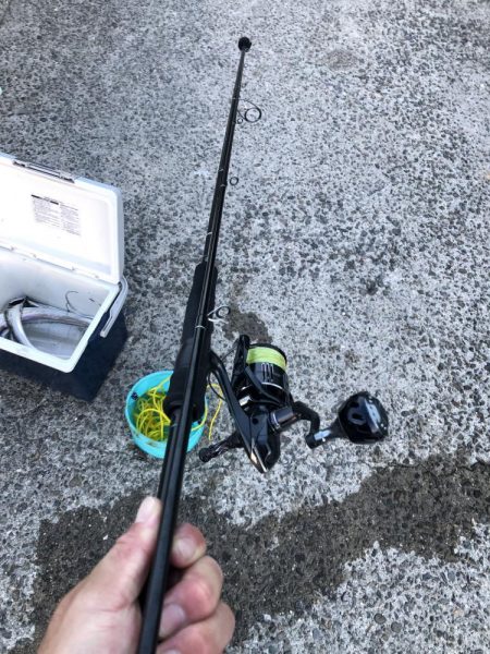 真っ昼間太刀魚さん