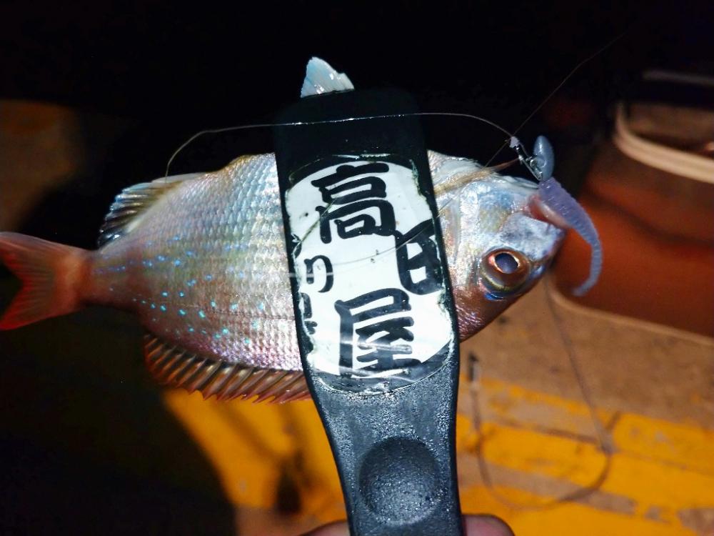 今夜はアジング修行