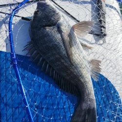 SUPフィッシング