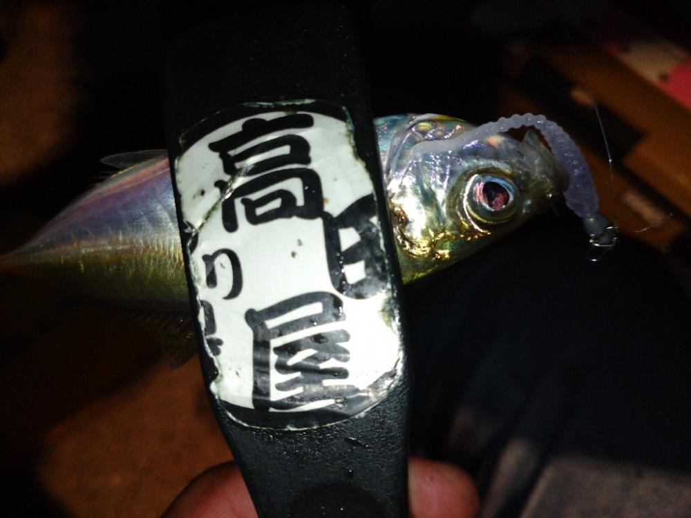 今夜はアジング修行