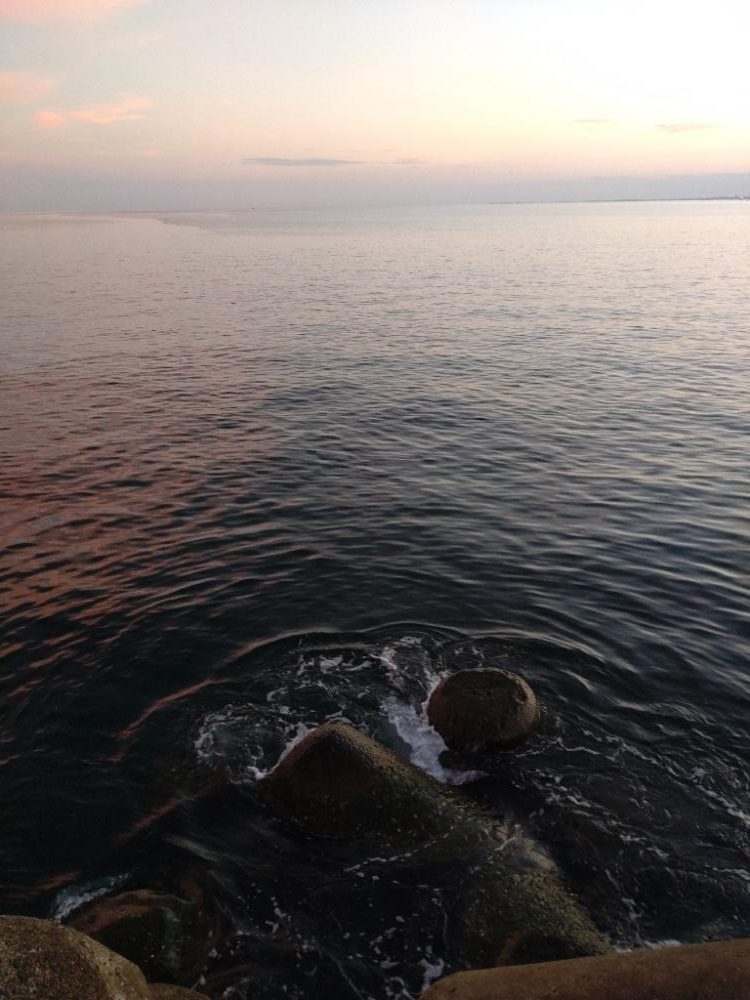 アオリイカ2杯！