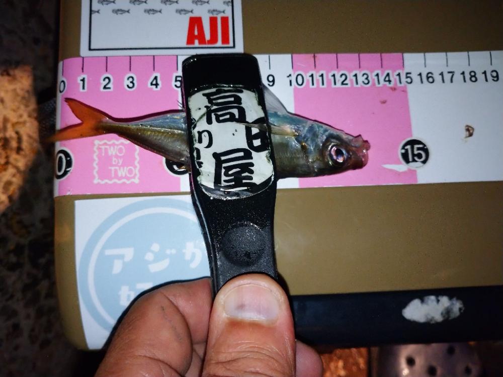 今夜もポロリアジング