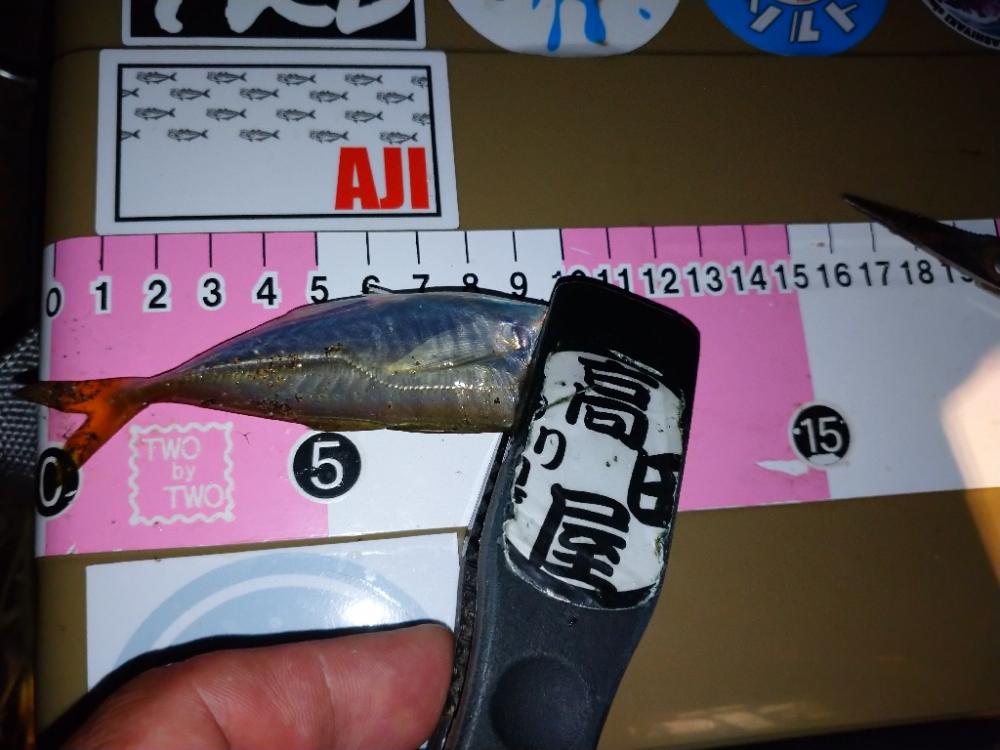 今夜のアジング修行