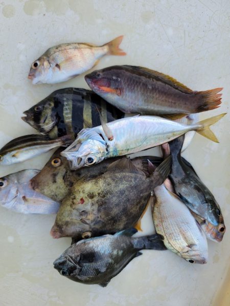 和歌山マリーナシティ海釣り公園