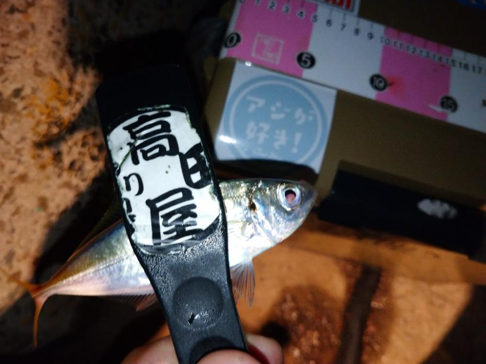 今夜もポロリアジング