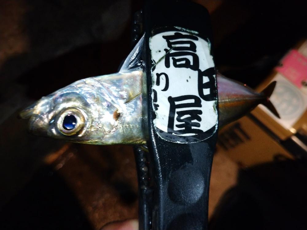 雨上がりアジング