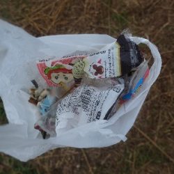 清掃活動：曇り空の凪潮