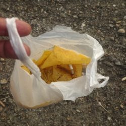 清掃活動：中潮凪