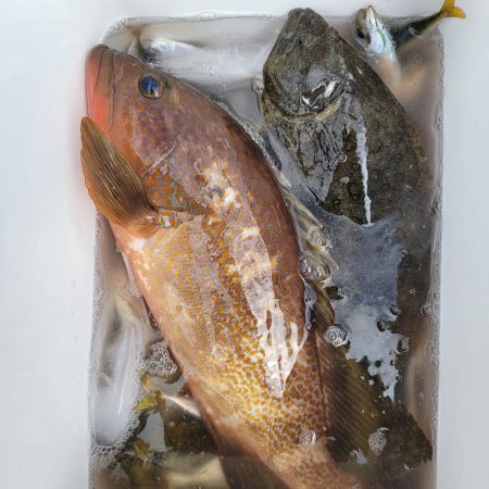 和歌山マリーナシティ海釣り公園