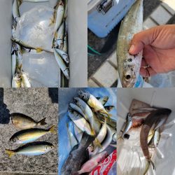 和歌山マリーナシティ海釣り公園