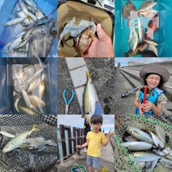 和歌山マリーナシティ海釣り公園