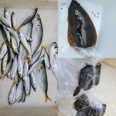 和歌山マリーナシティ海釣り公園