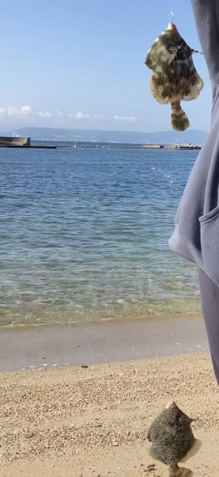 良型のカワハギが沢山釣れました