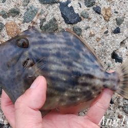 爆風で根掛かりとの闘い