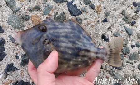 爆風で根掛かりとの闘い