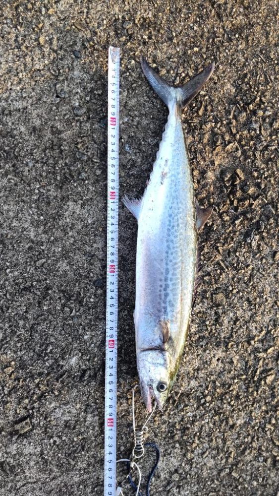 ハイシーズンではないのかい💦