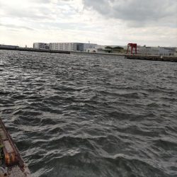 チニング（デイ強風編）