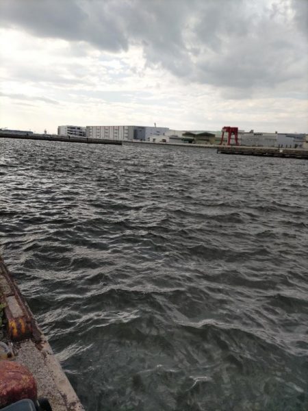 チニング（デイ強風編）