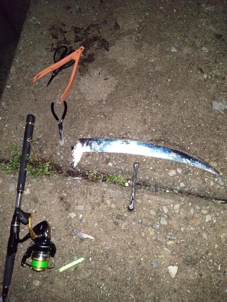 久々に電気ウキで癒やされた