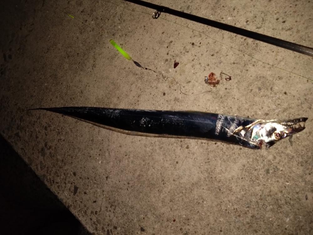 太刀魚爆風